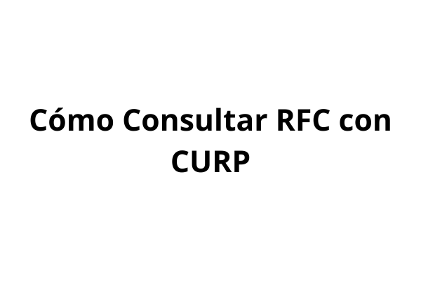 Cómo Consultar RFC con CURP